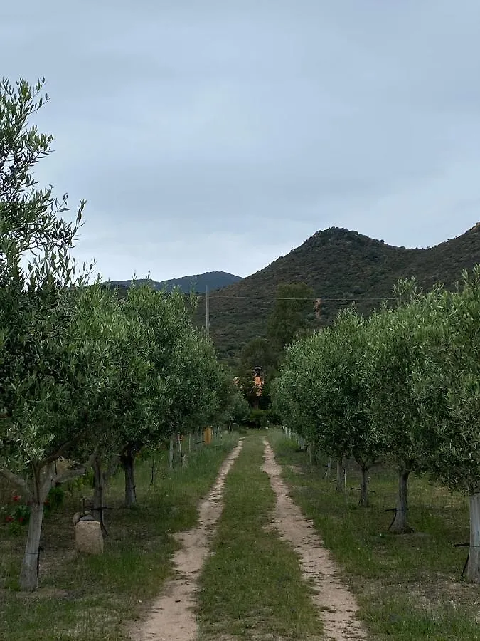 L'Uliveto Holiday House Muravera Casa vacanze