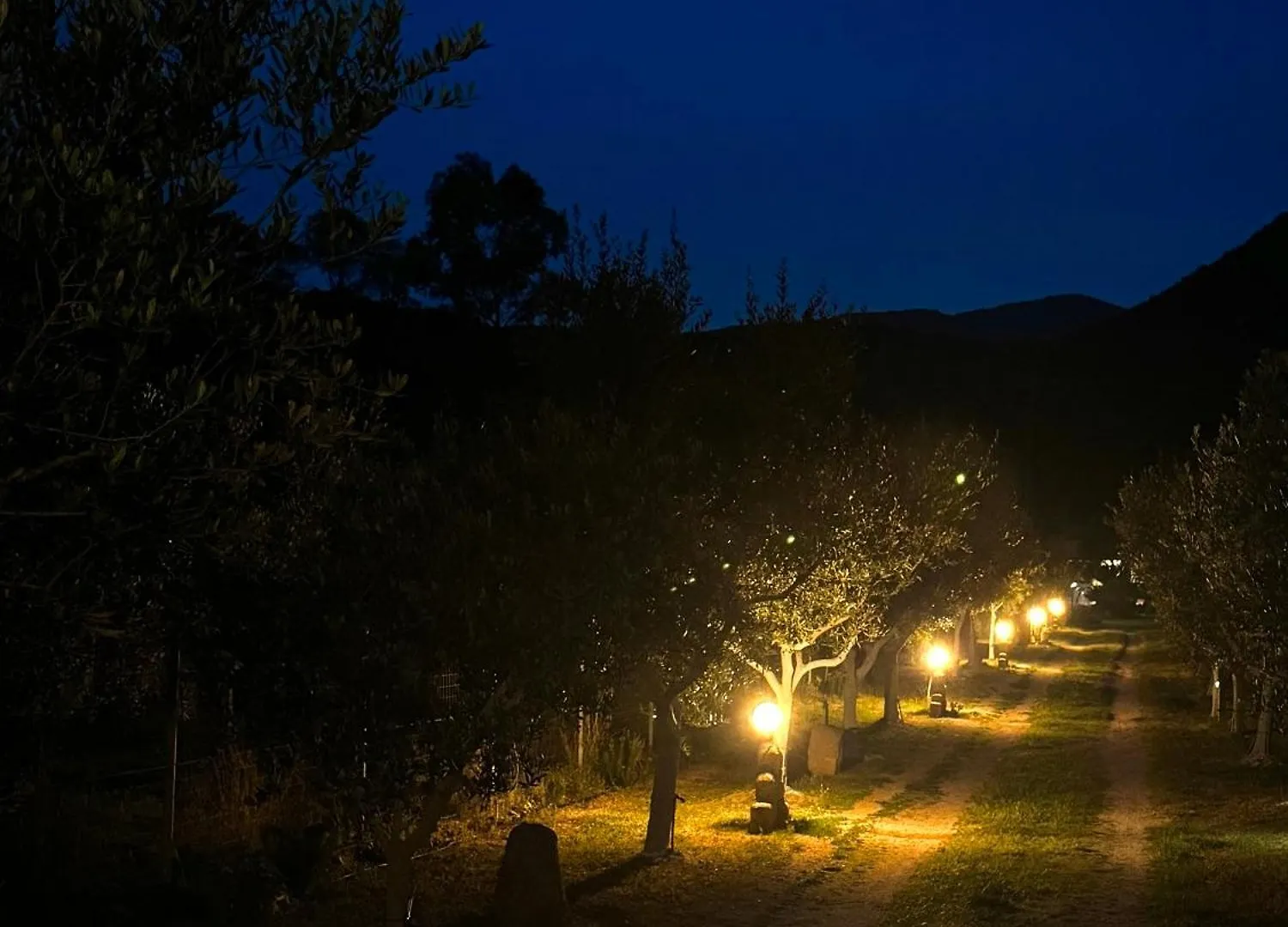 L'Uliveto Holiday House Muravera Italia
